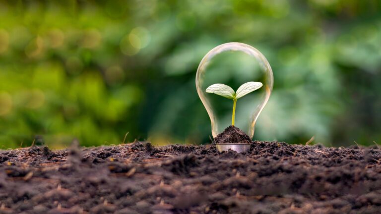 5 Ways to Save Energy While Working From Home