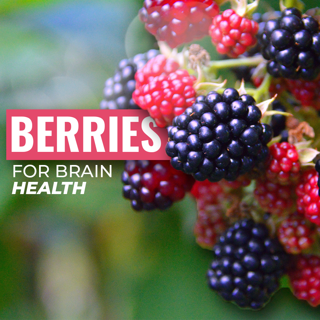 Berries for Brain Health