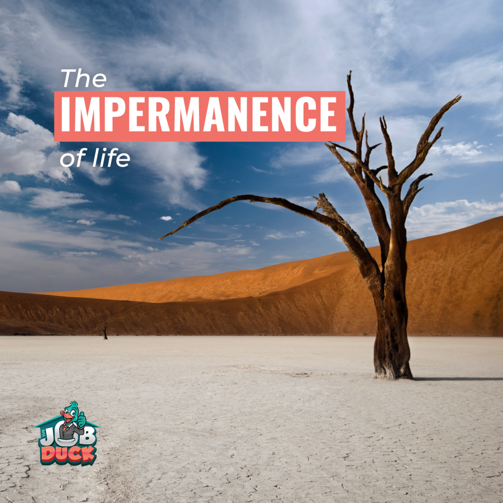 The Impermanence of Life