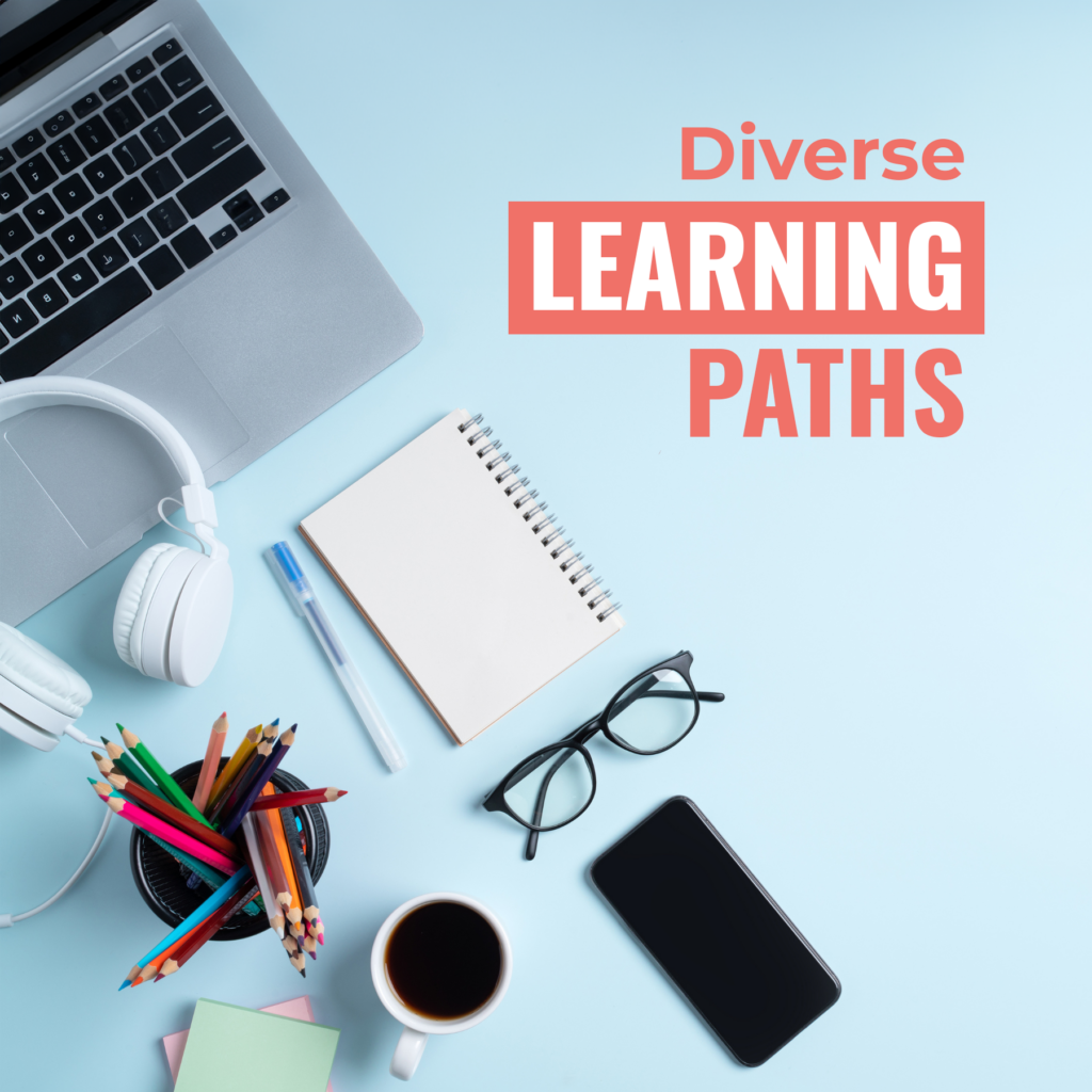 Diverse Learning Paths