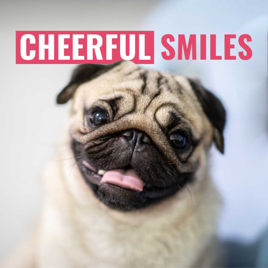 Cheerful Smiles 