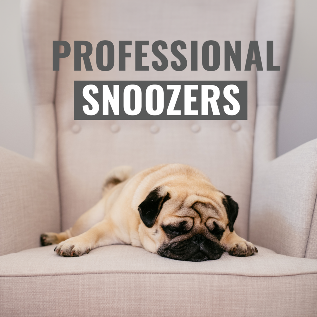 Professional Snoozers