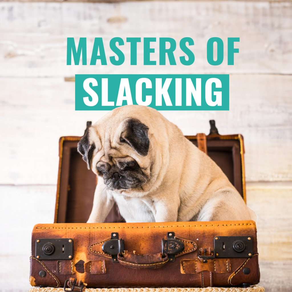 Masters of Slacking 
