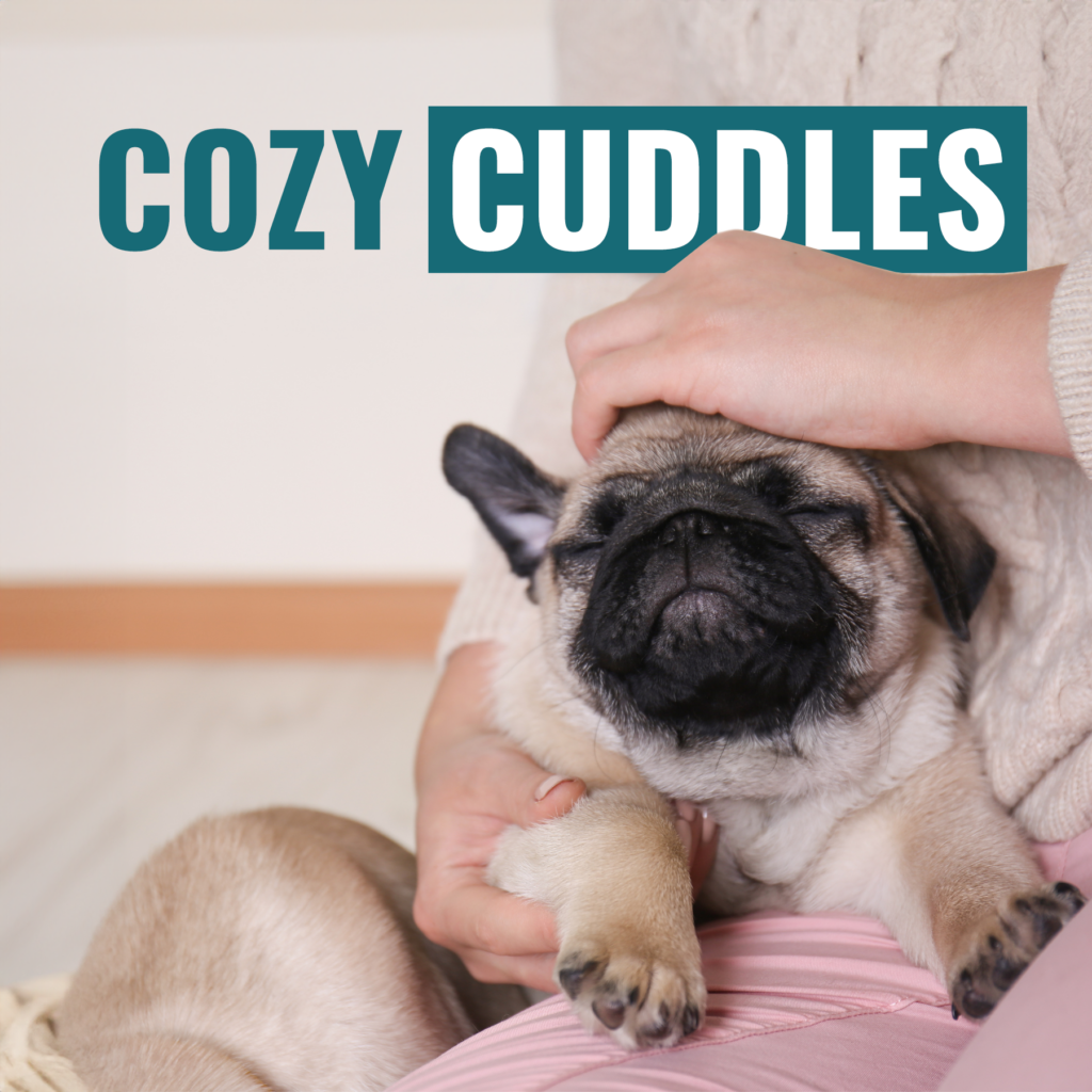 Cozy Cuddles 