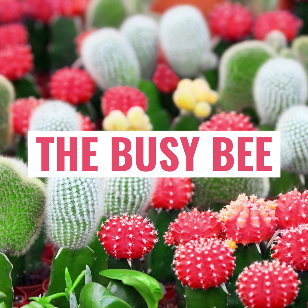 The Busy Bee 