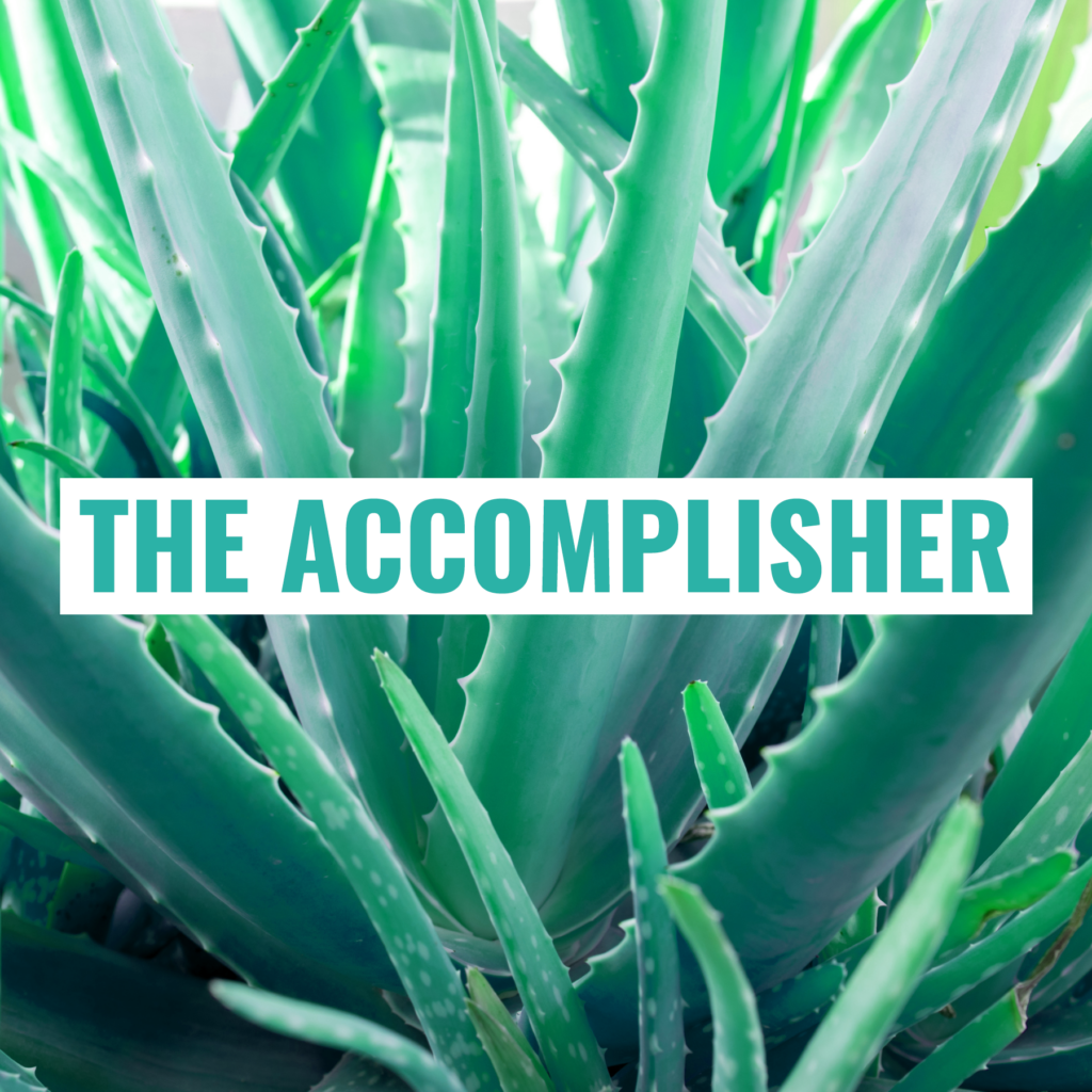 The Accomplisher