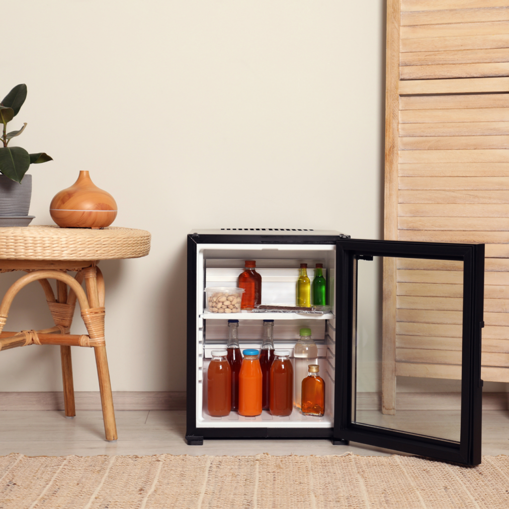 Mini Fridge 