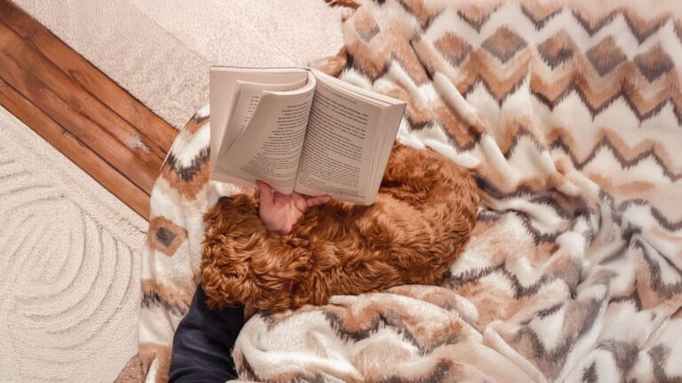 5 Inspiring Books That Can Shift Your Perspective